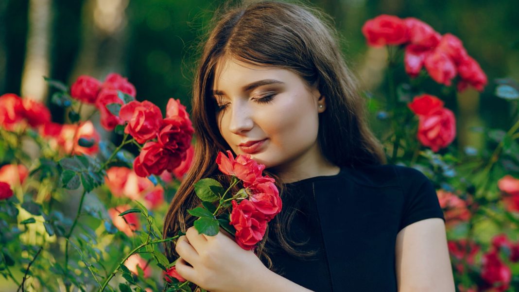 Maladie des rosiers : Quel remède de grand-mère est efficace ?